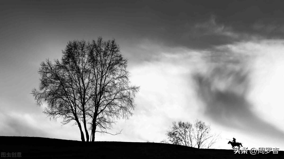 枯树赋赏析,枯树赋朗诵完整版