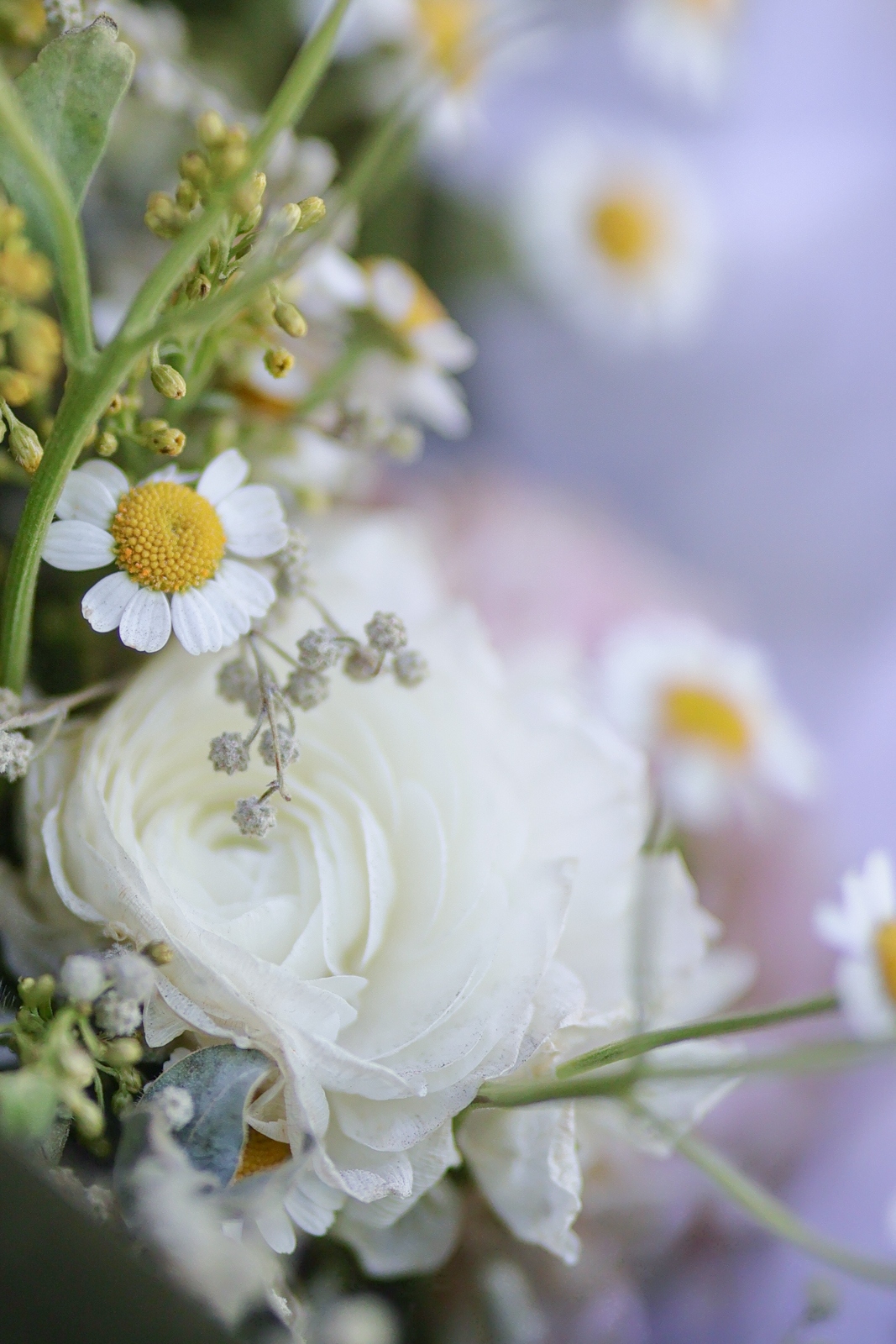 佳能eosr50深度评测,佳能eosr50优缺点