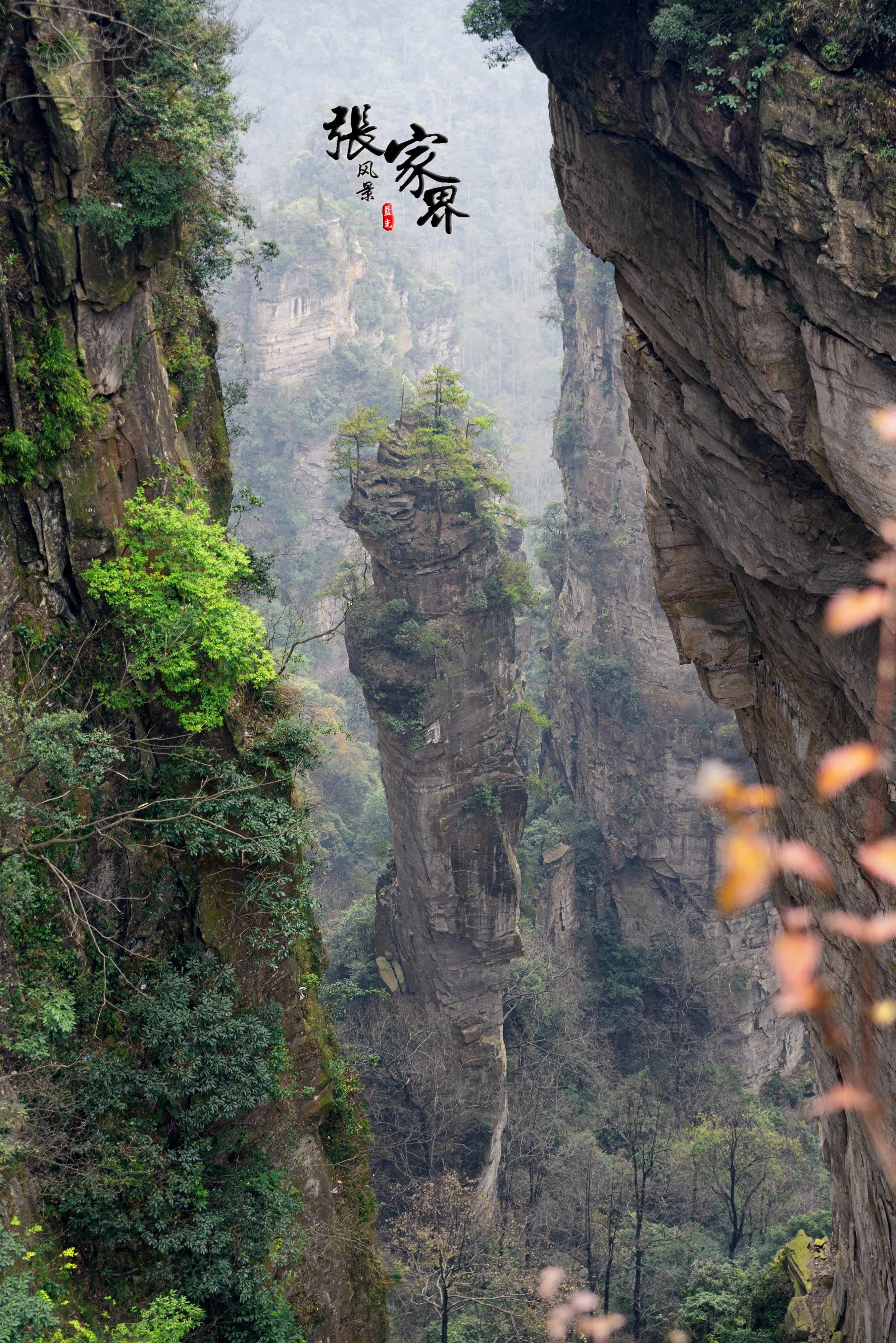 仙境张家界惊艳全世界,张家界的峰林峡谷仙境