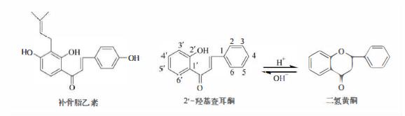 含黄酮类成分的药材有,陈皮的黄酮类成分作用