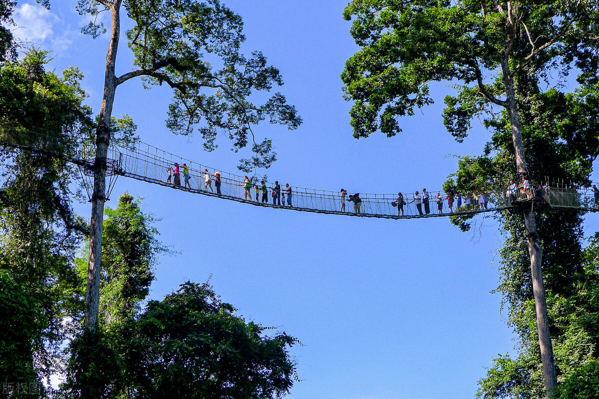 西双版纳名胜古迹有哪些,西双版纳有哪些名胜古迹