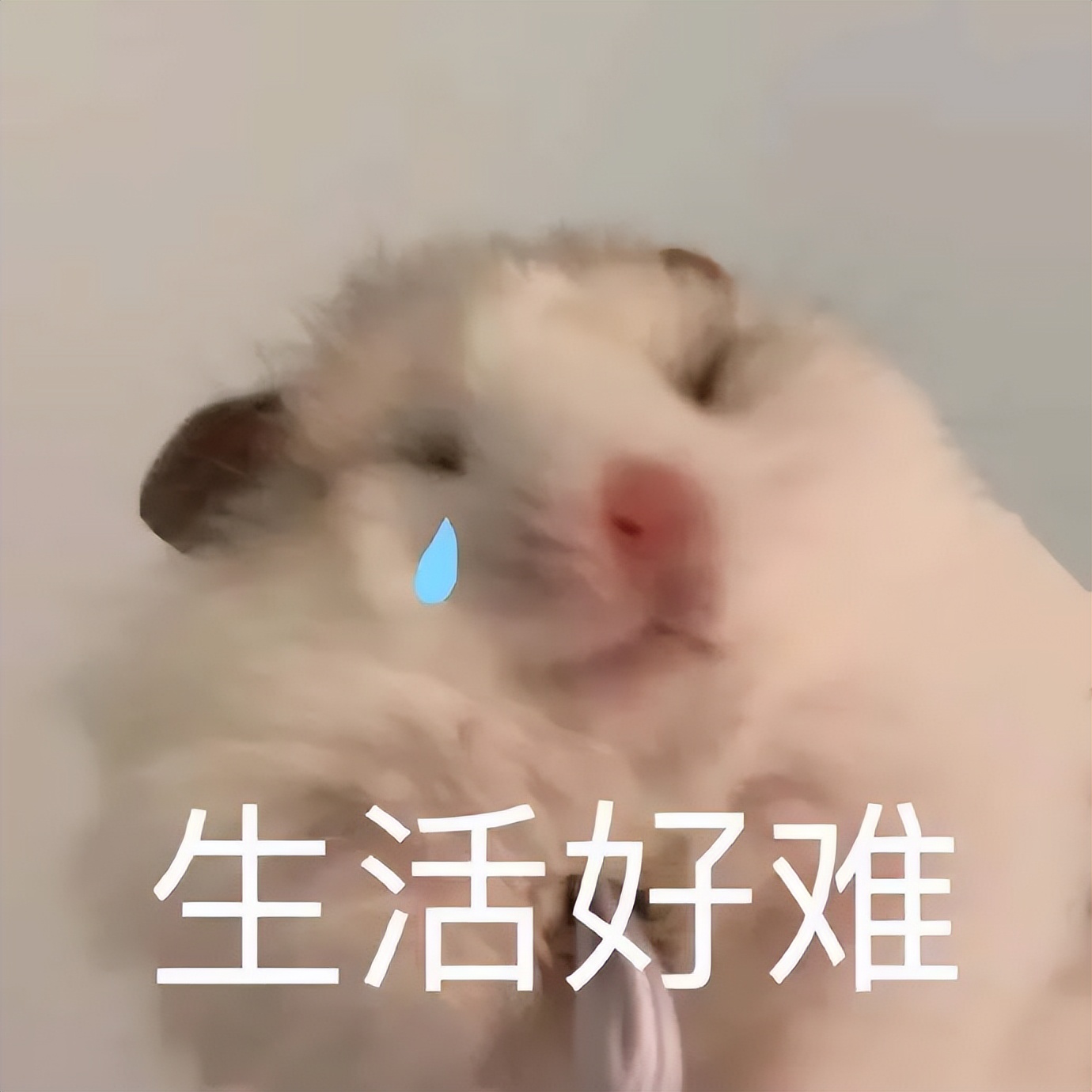 考研也难以翻身的四个专业,考研要了解的专业选择方法