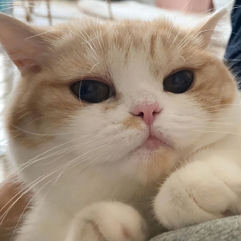 进行性视网膜萎缩治疗费用,进行性视网膜萎缩治疗