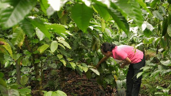 点进来，了解爱上兴隆“歌碧欧”的N个理由～