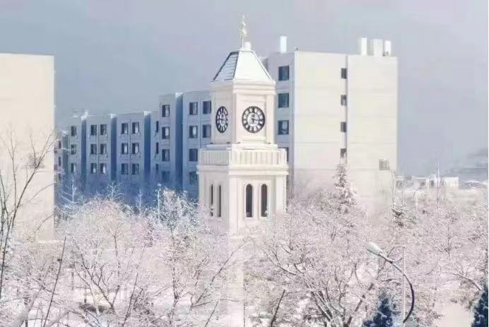 大连外国语大学：毕业生都去哪了？有没有非外语类本科专业？