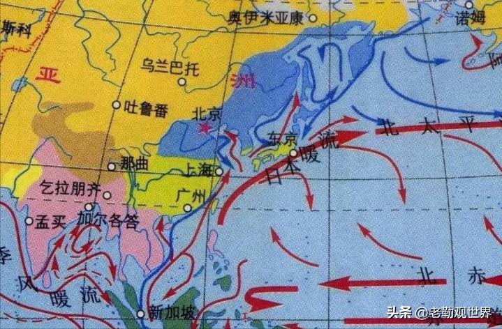 中国未来哪个城市最吃香,中国城市排行榜潜力城市