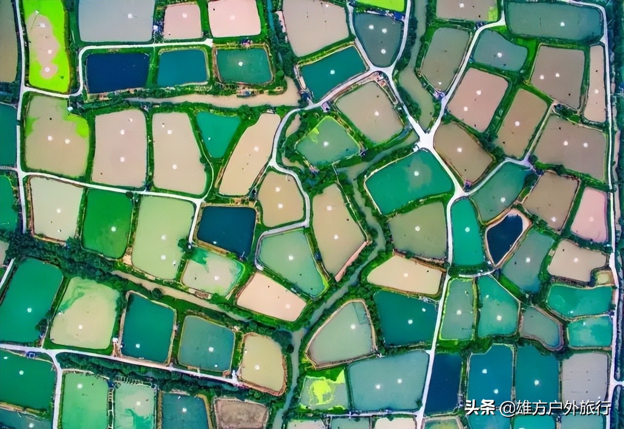 佛山花海旅游推荐,佛山花海生态公园