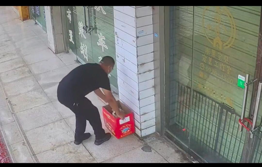 狗狗难产主人用手助产和压肚子,狗狗难产主人帮忙接生全过程