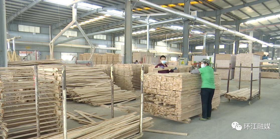 广西河池环江工业园项目,环江粤桂协作现代林业产业园