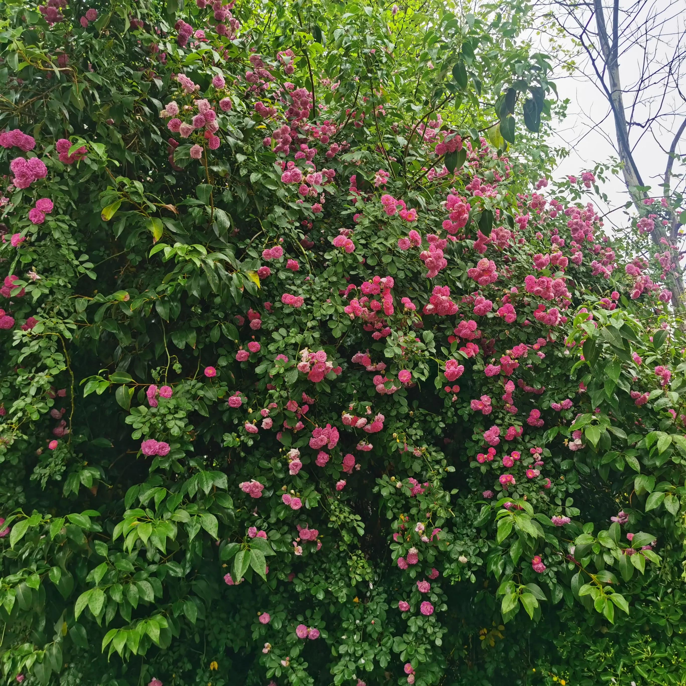 假期过完开始搬砖,假期用完开始搬砖