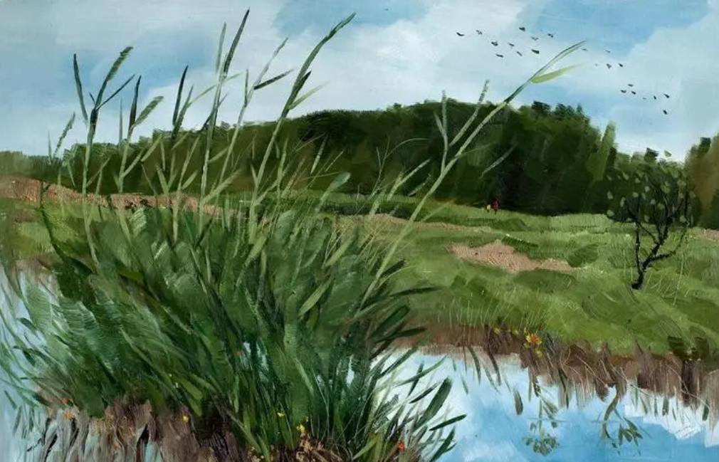 屮艸芔茻这几个字怎么读,屮艸芔茻有什么含义