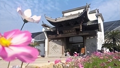 绿植养护常识及注意事项,绿植养护知识和方法大全