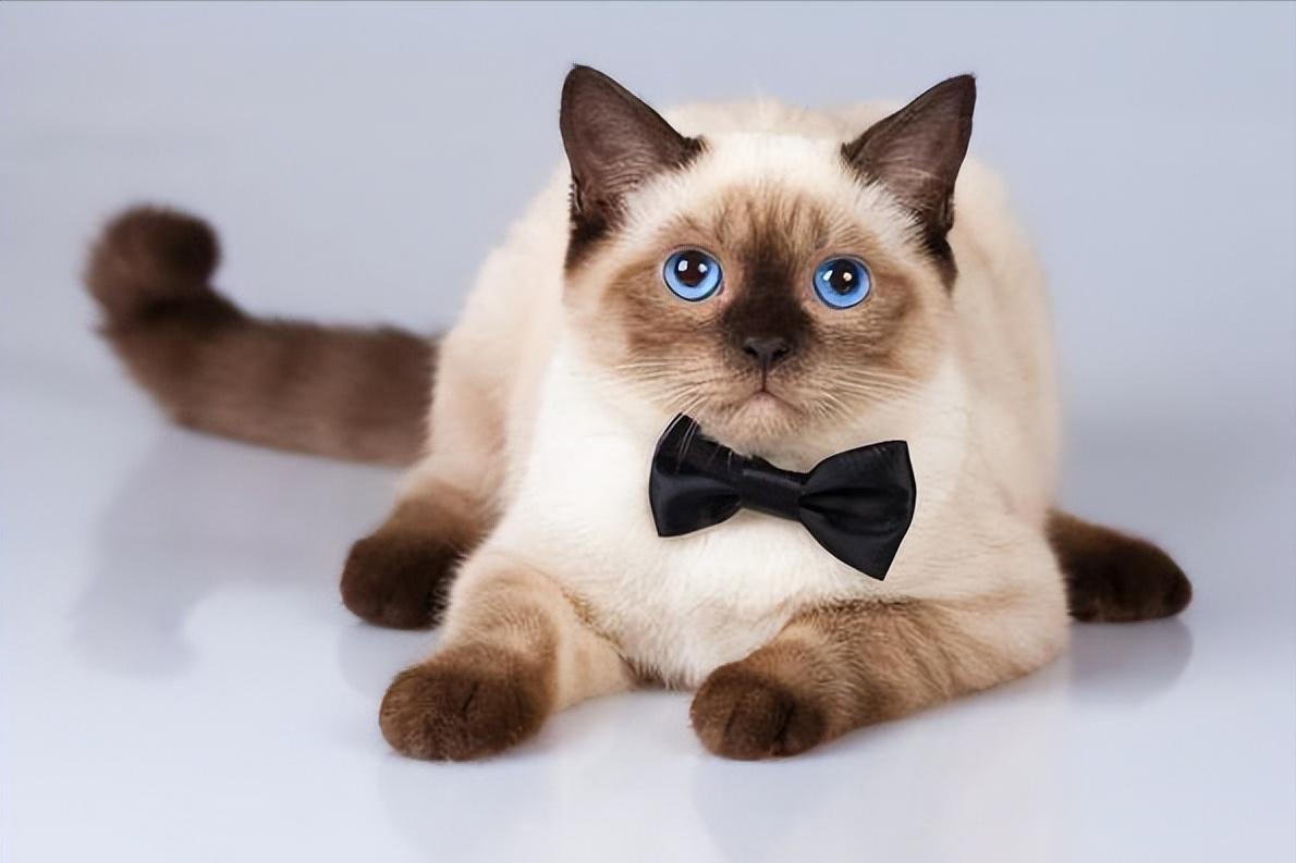 泰国高清图片大全,泰国旅游图片大全真实照片