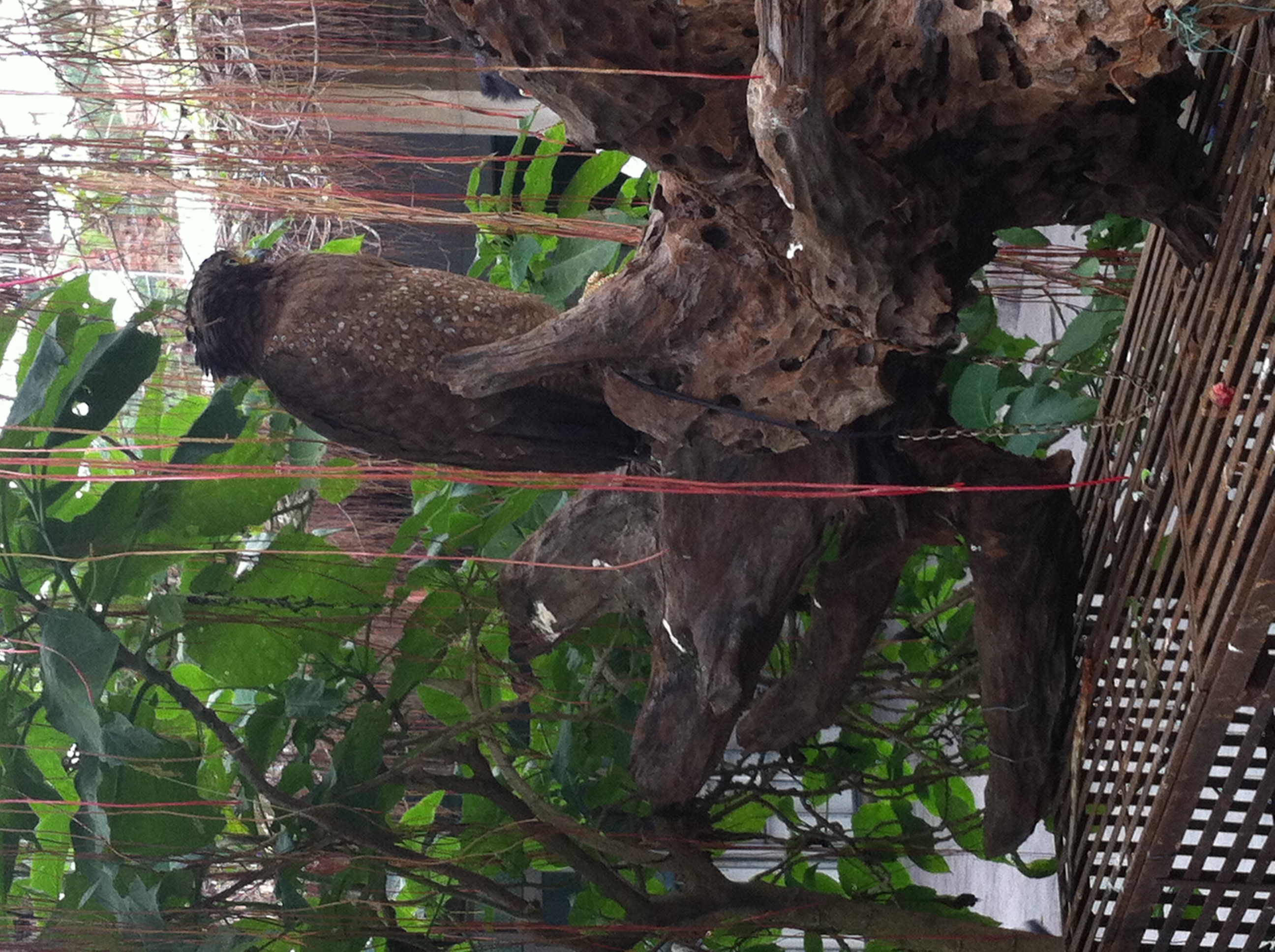 十年前的越南神曲,十年前的越南旅游