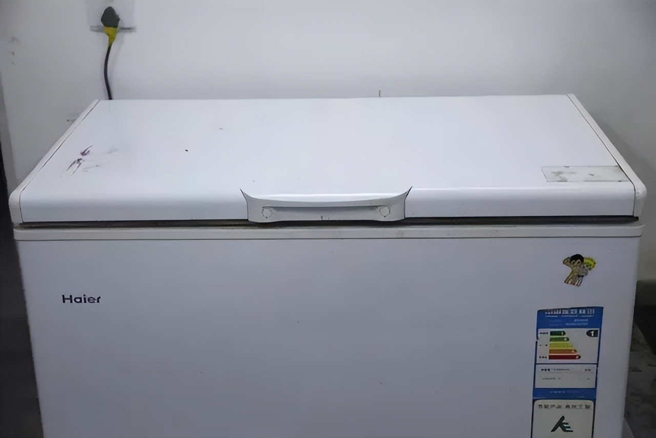 我把价值近十万的龙鱼虎鱼冻在了冰柜里