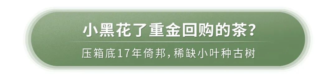 老茶开仓,老茶出仓