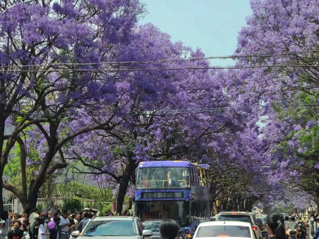 疫情后遗症：名校生逃离大厂