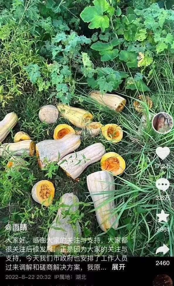 女大学生回乡创业被老人偷,大学生回农村创业被老人偷