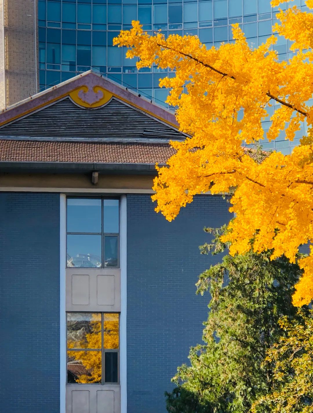 美丽的人民日报大院，我们温暖的家