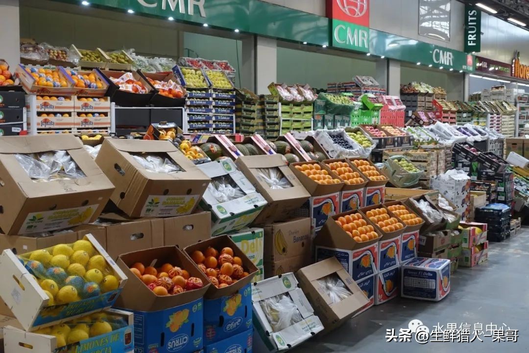 世界第一果蔬批发市场,中国十大果蔬批发市场