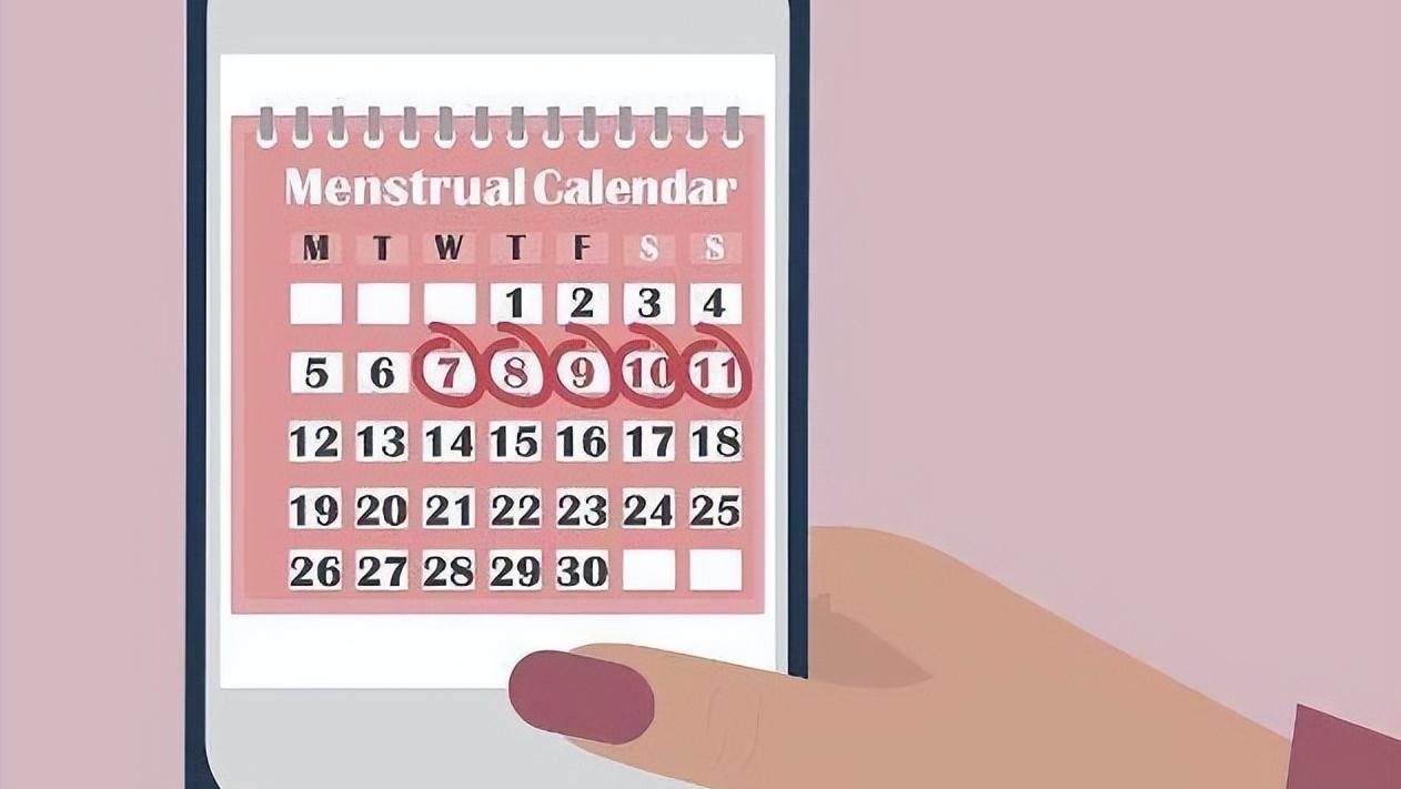 排卵期同房，怀孕概率会增加？备孕的注意事项，你都了解清楚了吗