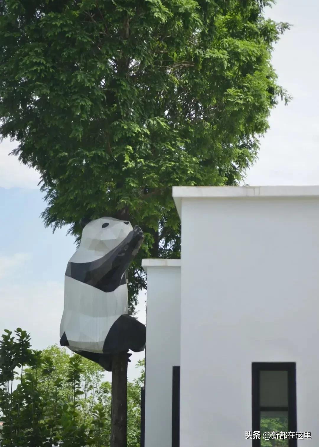 邂逅香城，在新都必做的50件小事~