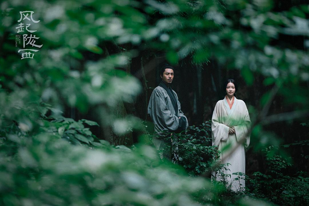 今年山河之影最好看的武侠剧,谍战武侠电视连续剧
