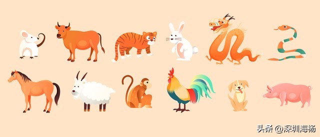 名人讲解十二生肖的由来的故事,十二生肖的历史由来科普知识借鉴