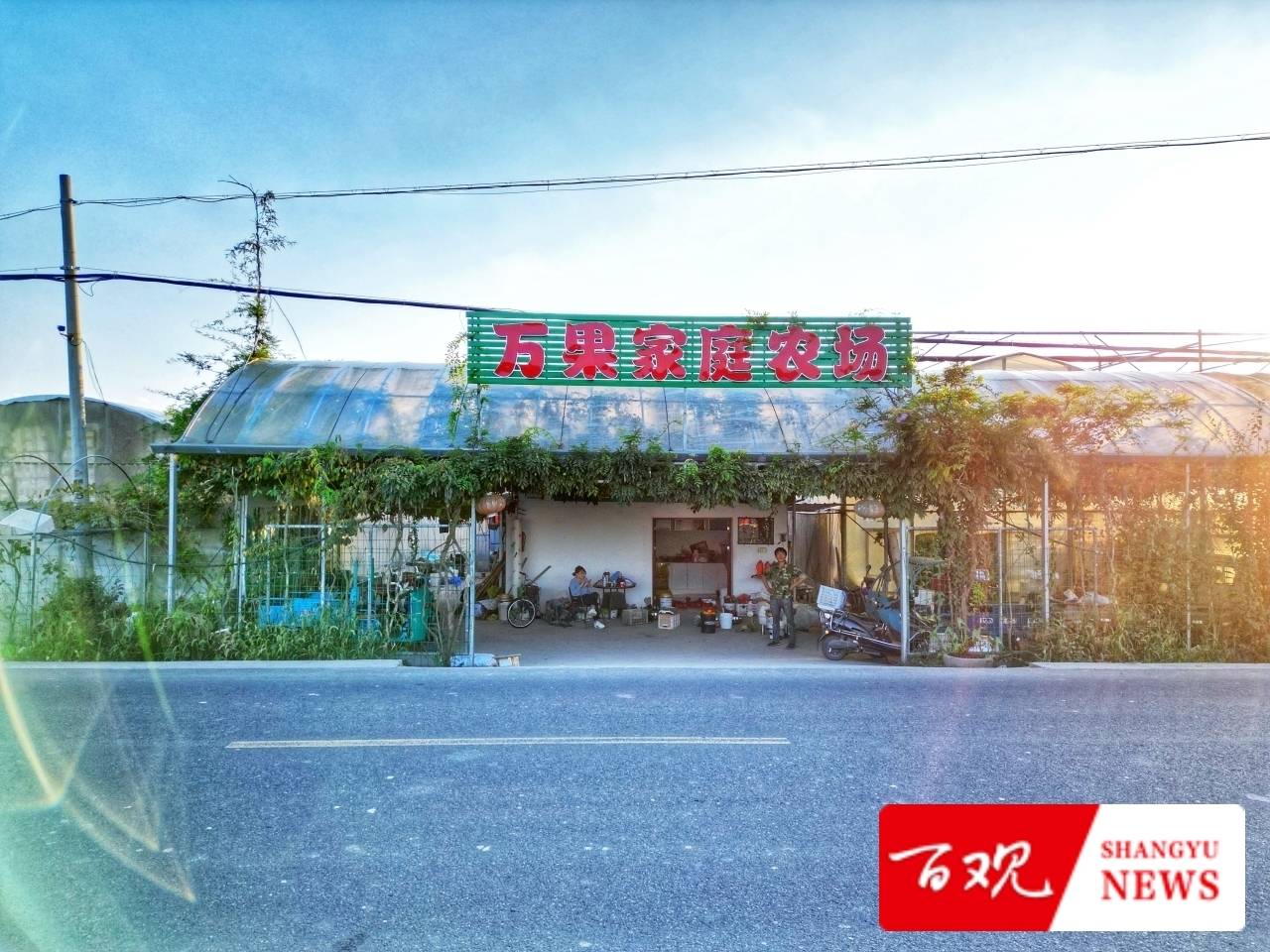 种植大户陈伟祥说：我要把“务农”这碗饭从苦吃到甜