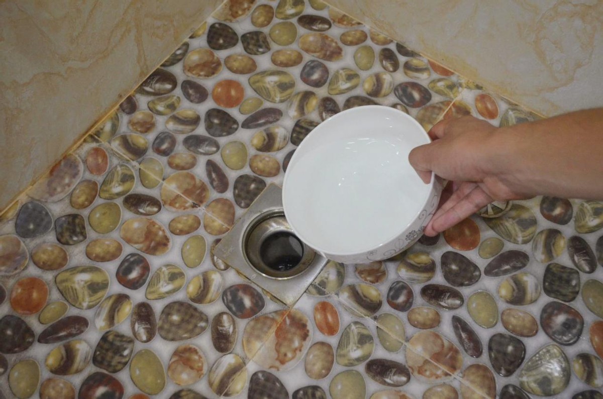 夏天卫生间里的小飞虫是什么,门窗紧闭家里的小飞虫哪里来的