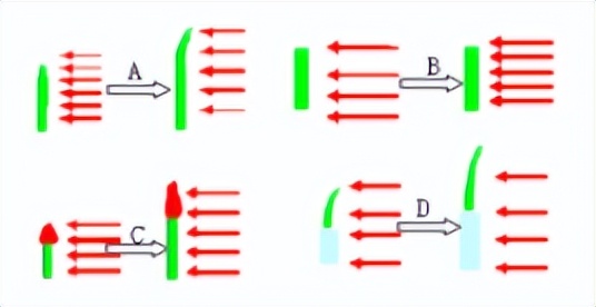 科学知识大全小学生必背,科学知识大全全集