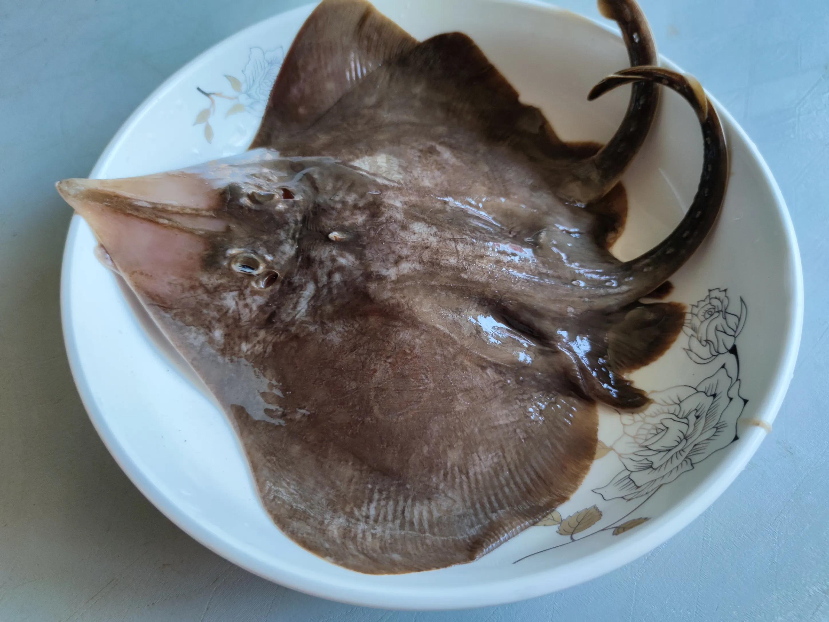 适合冬天吃的海鱼有哪些,海鱼应该吃哪种