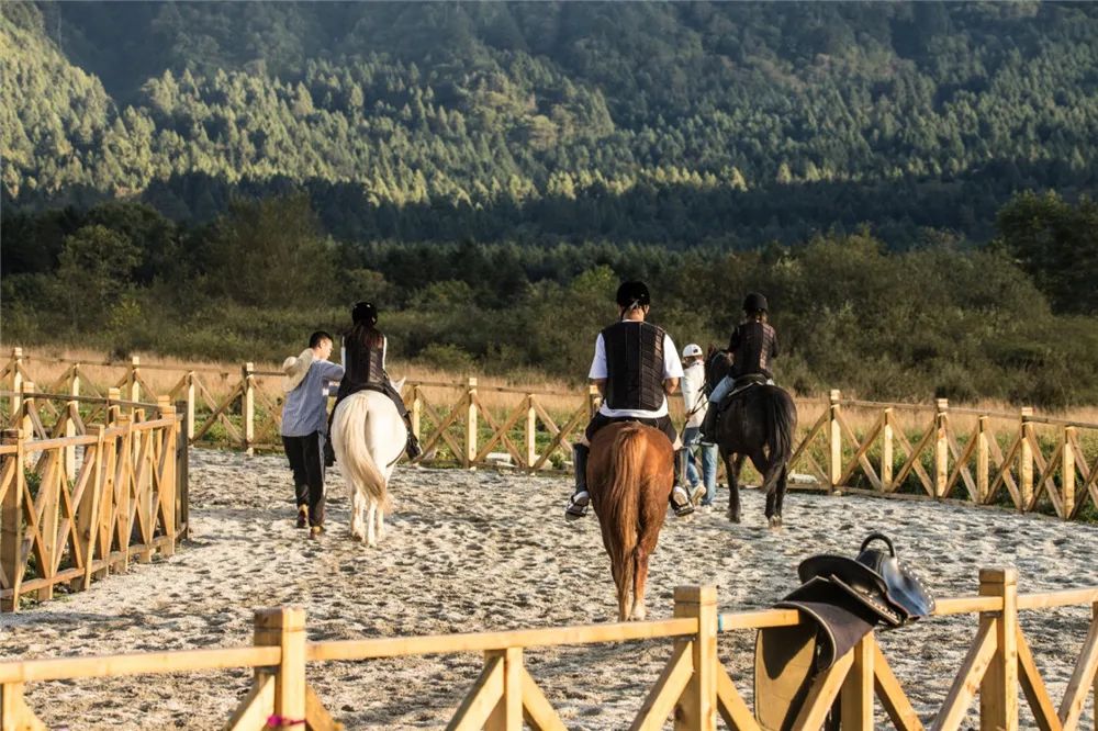 雅安暑假游攻略最佳线路,雅安必玩