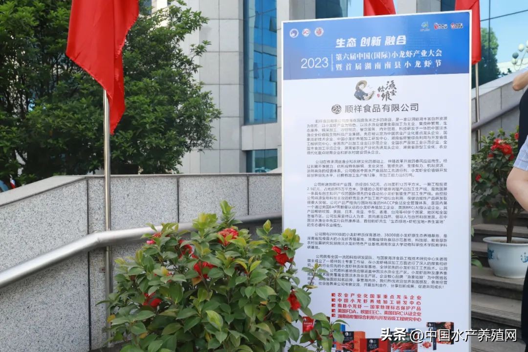 2023年南县小龙虾价格行情,南县小龙虾价格报价