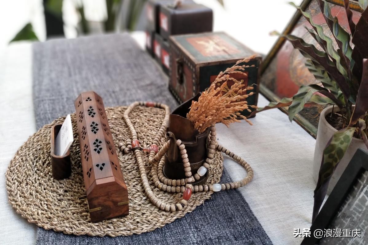 寻找马璐璐,寻找猪鼻狸