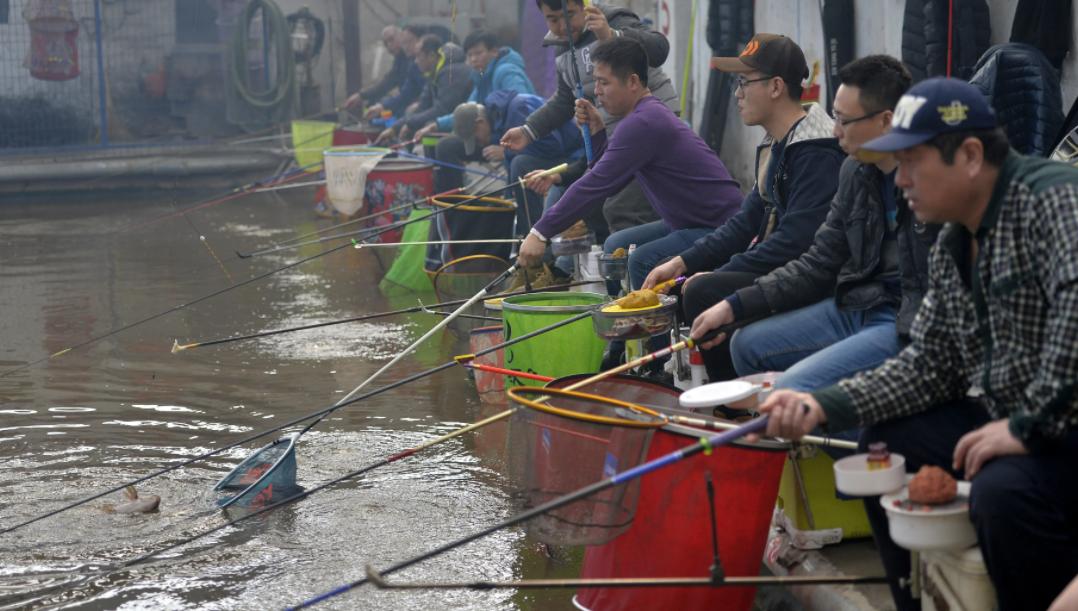 为什么现在野钓鱼越来越难钓,跟着大师学钓鱼越来越钓不到鱼