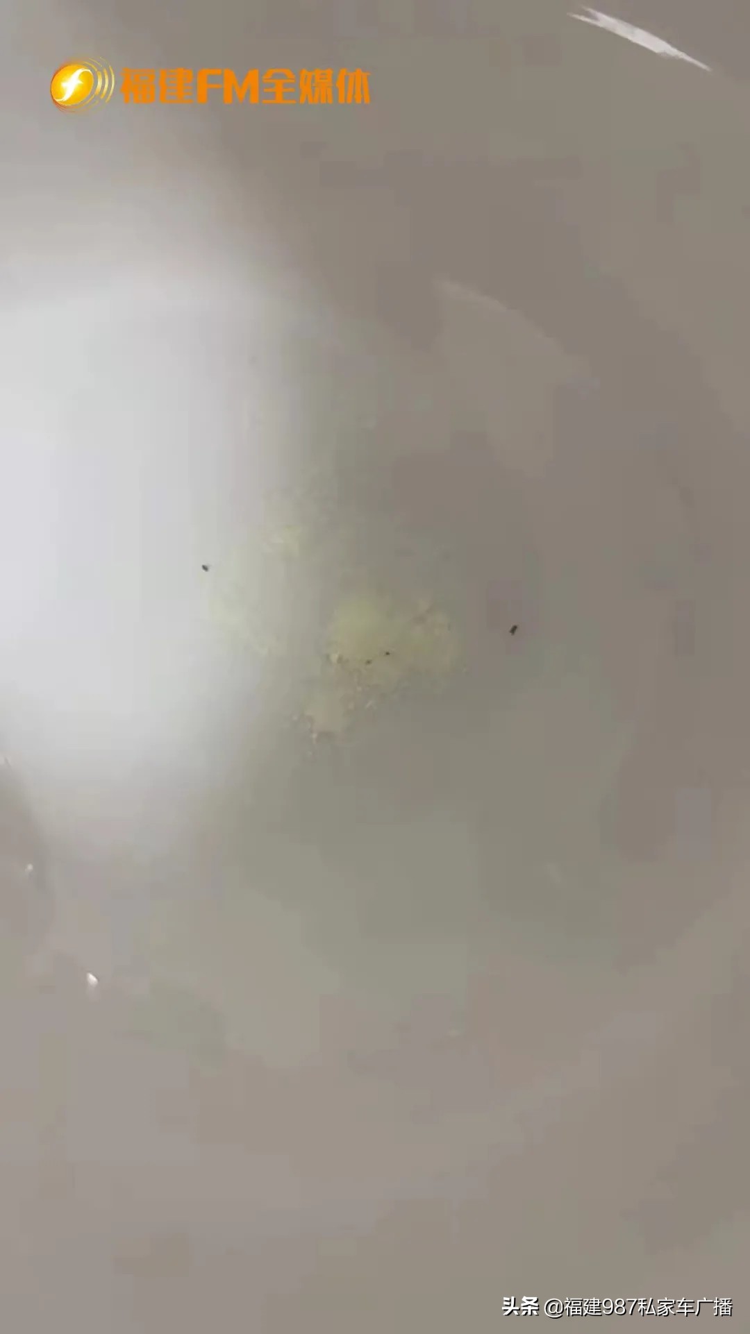 同品牌奶粉有的里面有黄褐色颗粒,奶粉里面有褐色的颗粒是什么