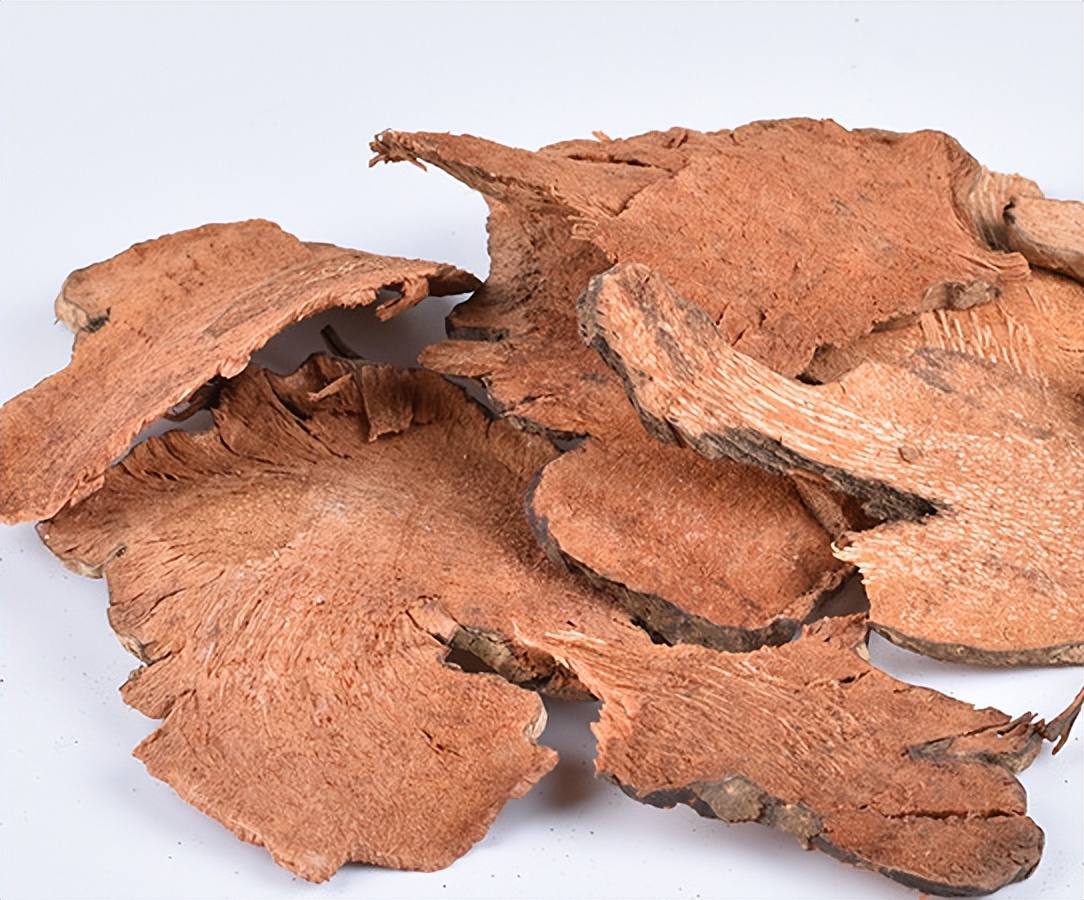 菝葜和金刚藤区别,菝葜金刚藤