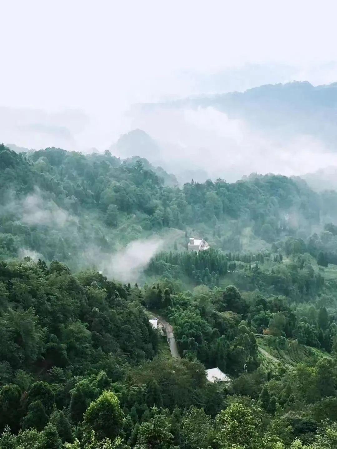 雅安名山景区怎样,雅安名山必去的三个地方