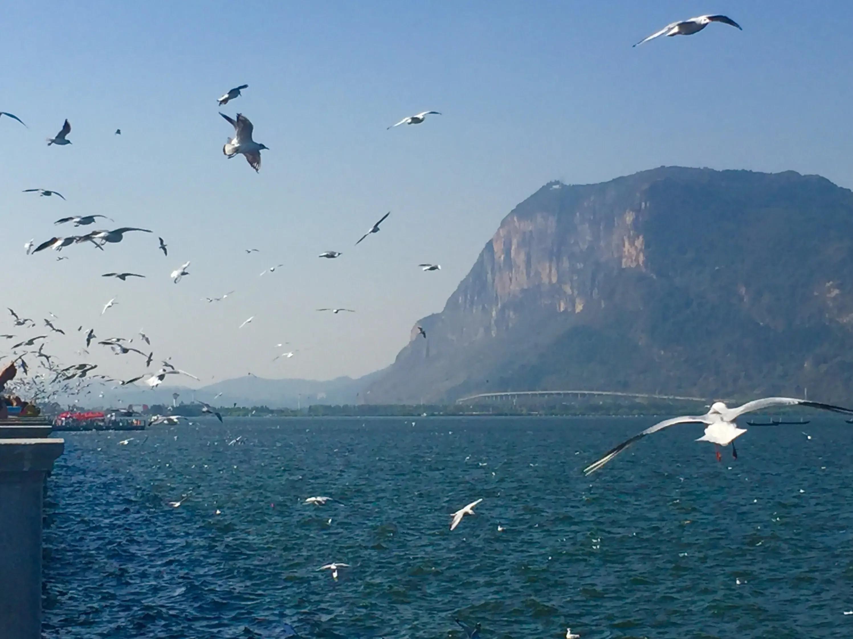 云南美景高清图,云南美景