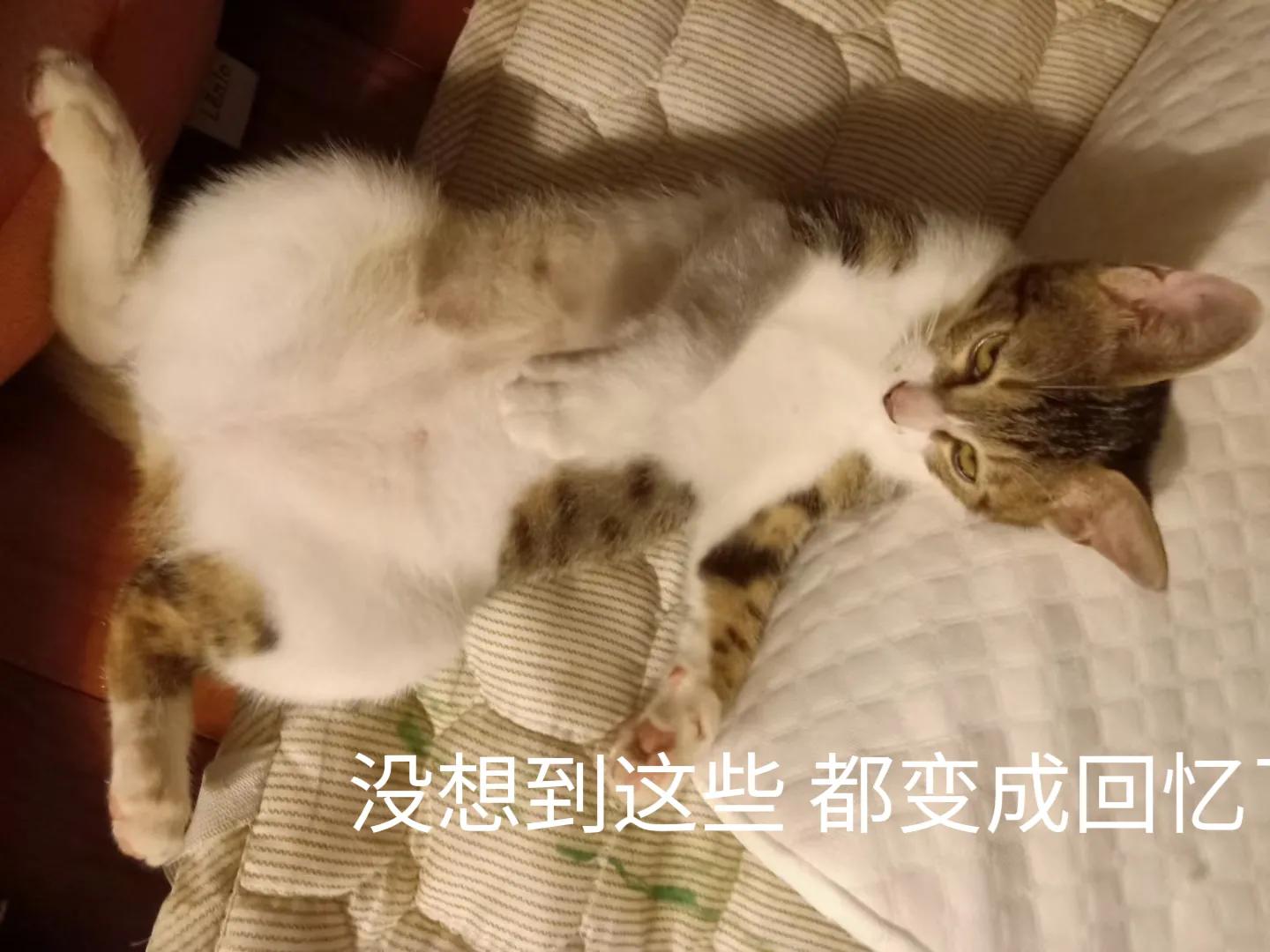 happy鎴戠殑濂冲鎻掓洸,浣爃appy鎴戜篃happy