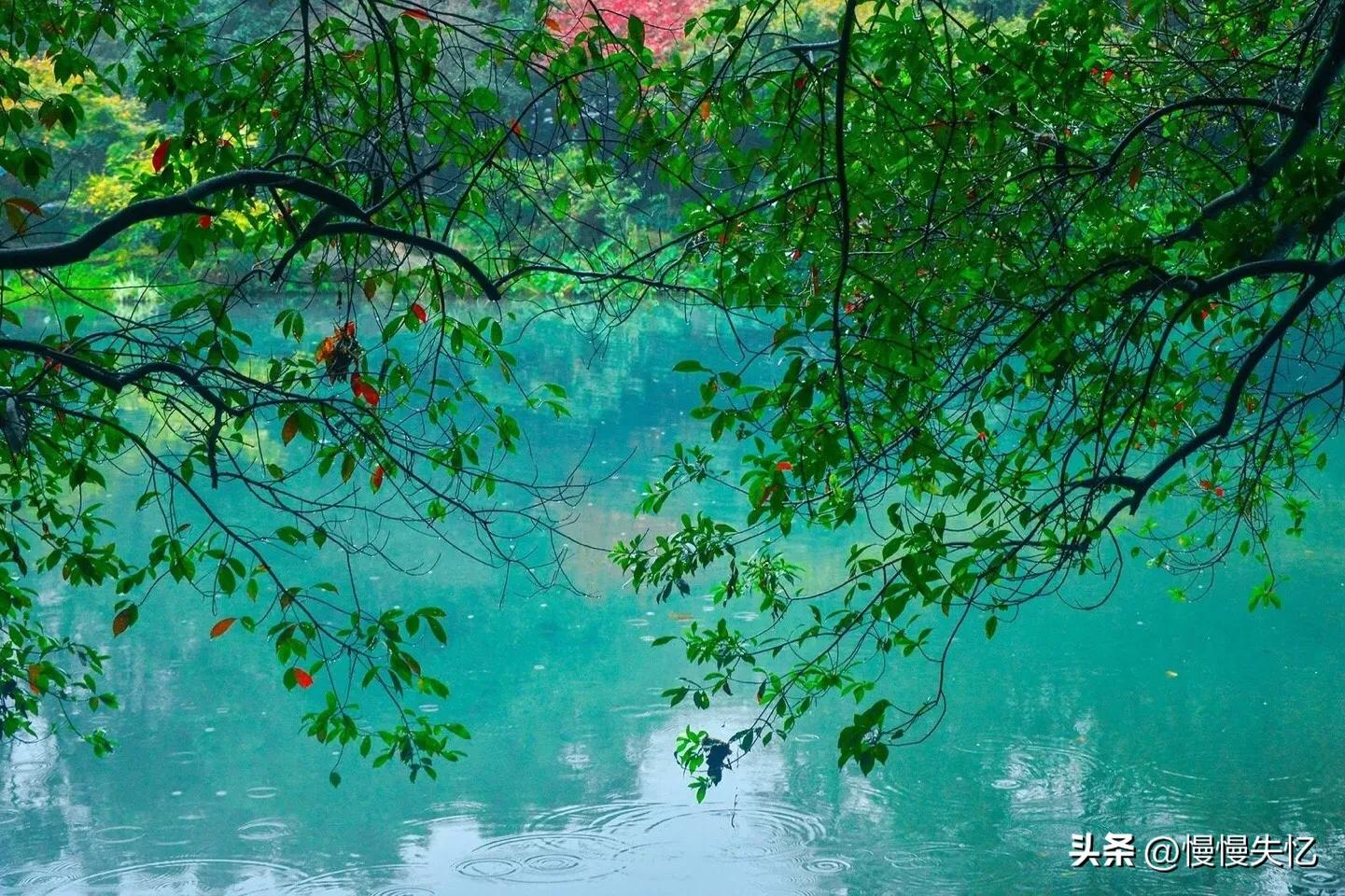 关于初夏美好的诗词佳句,初夏一抹嫣红沐浴暖阳诗词