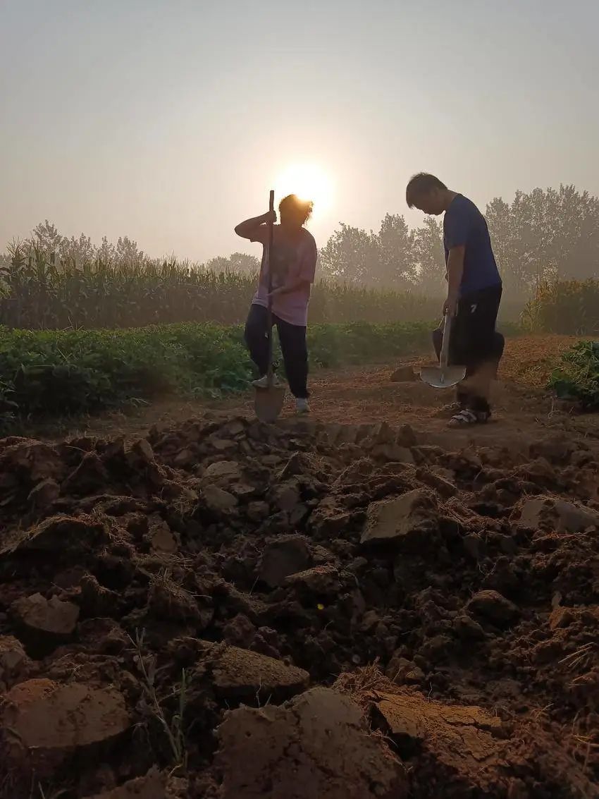 理科450分能上湖北医药学院吗,湖北医药学院多少分能上