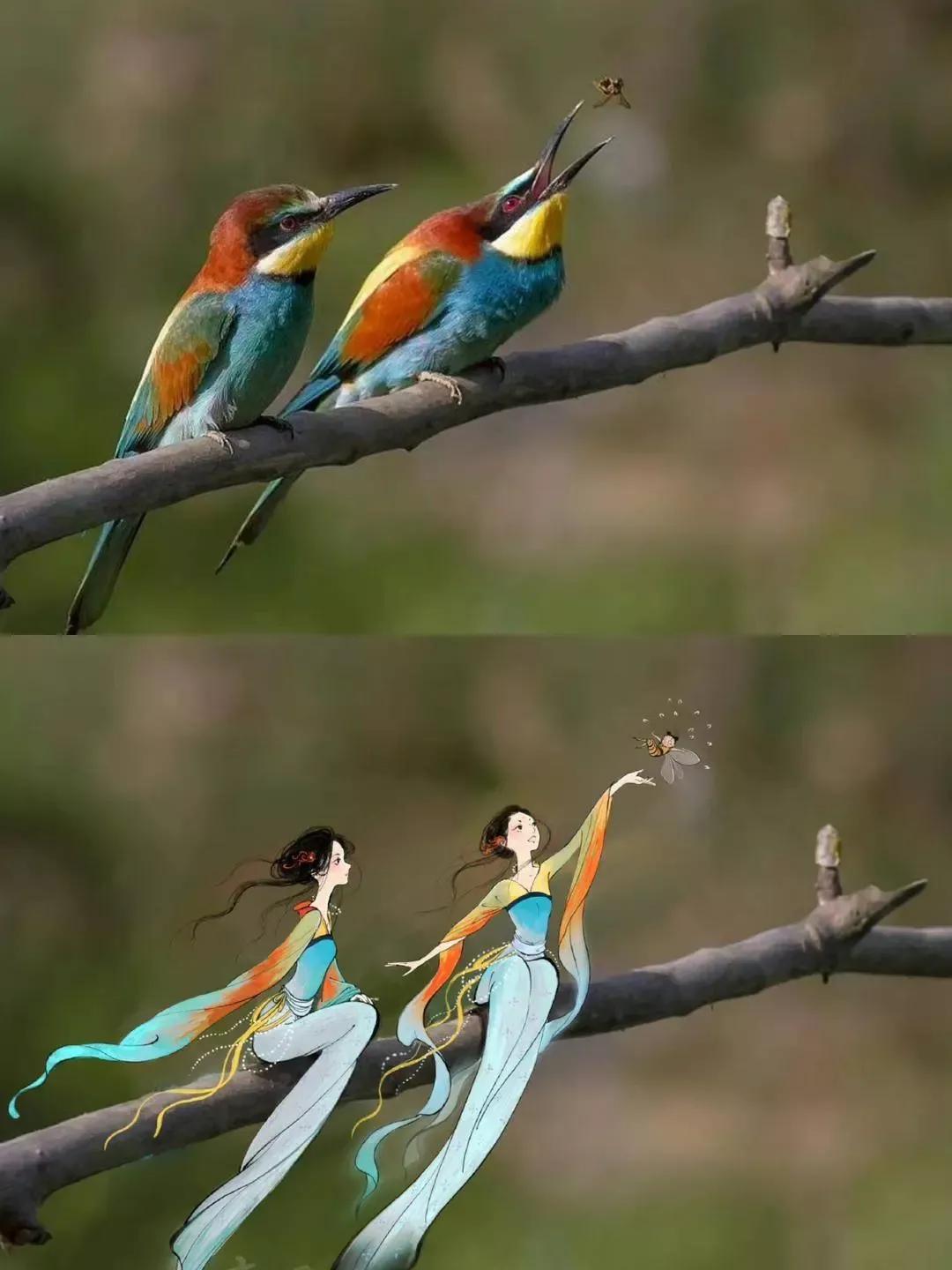 贵州女孩学医,贵阳女孩子学医