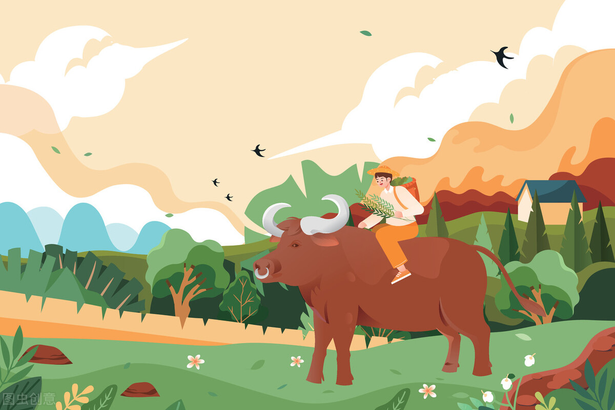 真心话大冒险诚实与勇敢,诚实真心话大冒险