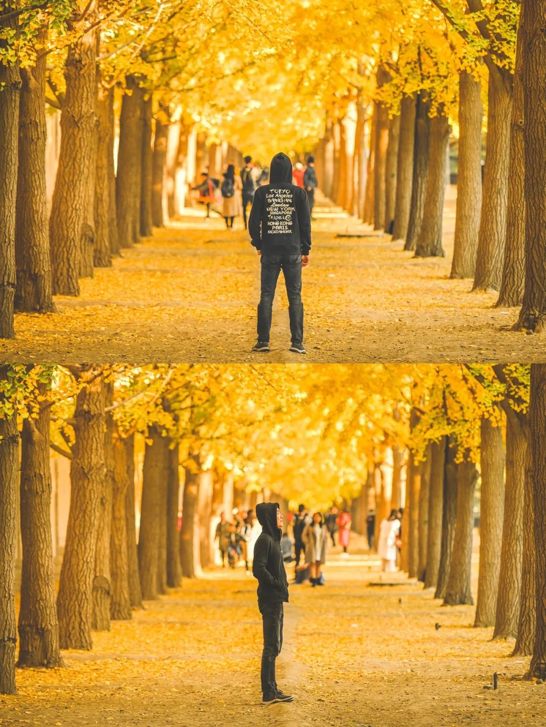 一入秋北京就变成了北平原文,一入秋北京就成了北平是谁说的