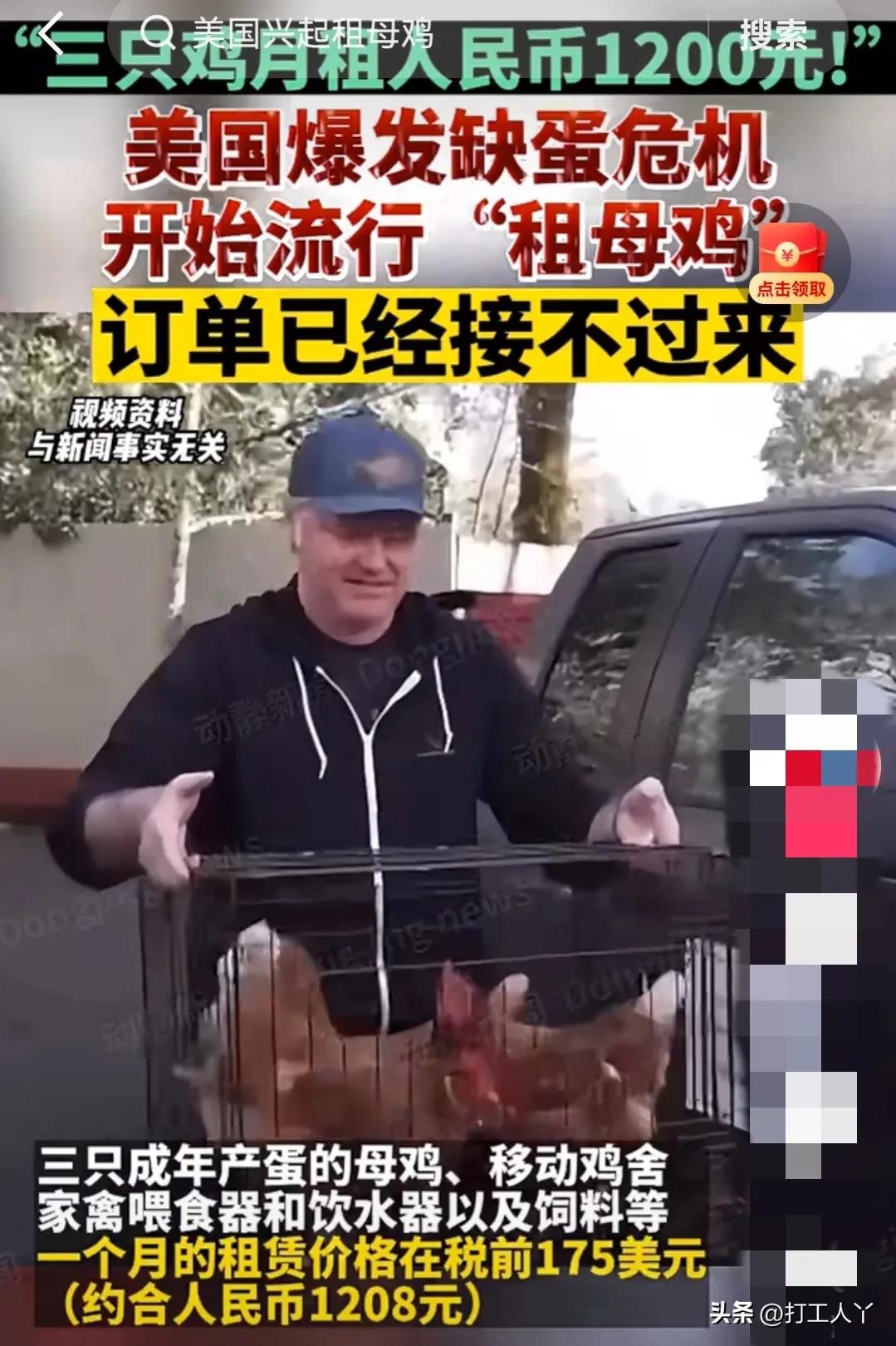 台湾鸡蛋荒持续,日本鸡蛋荒