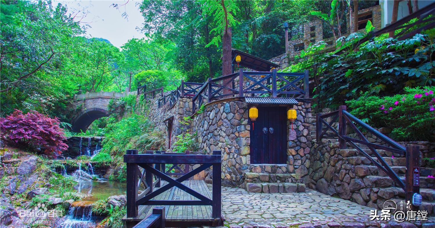 宁海县潘天寿,宁海名人潘天寿