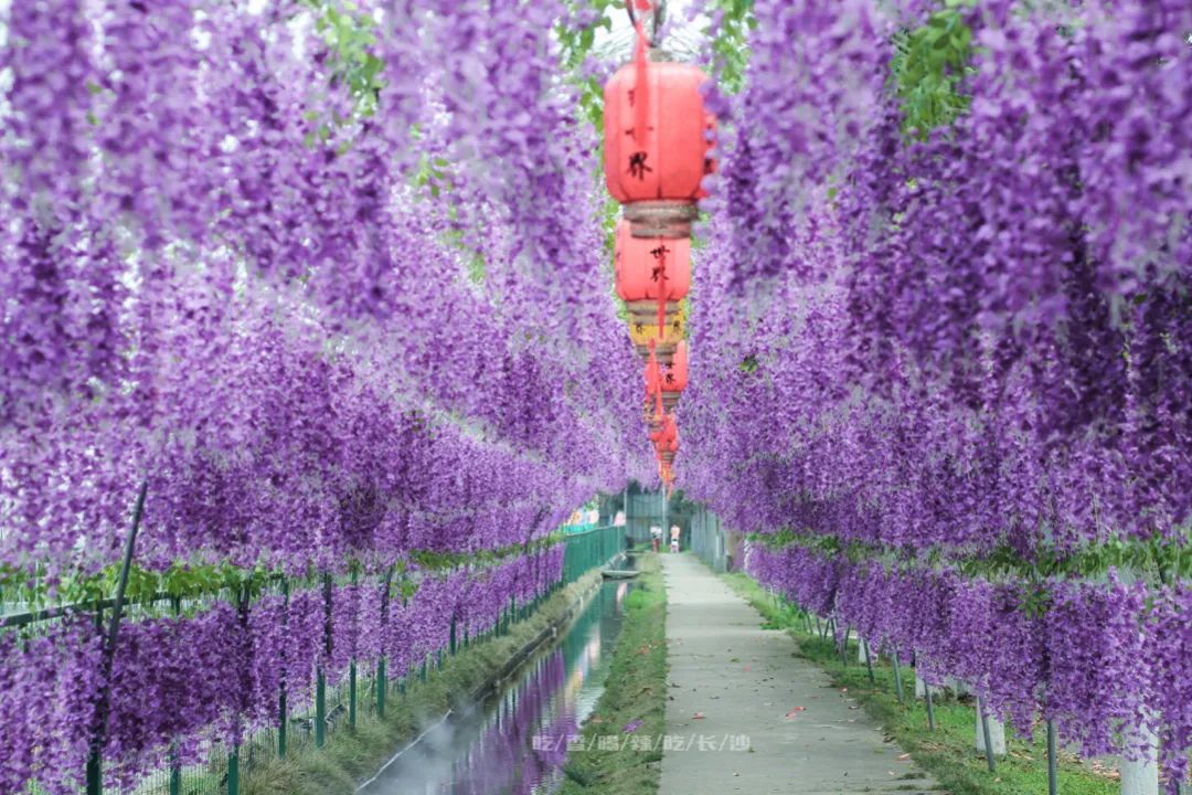 长沙攻略避开人群,收藏长沙