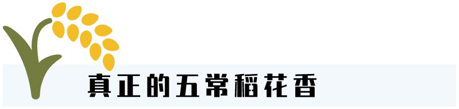 教你几招快速辨别五常大米,五常大米稻花香2号如何辨别真假